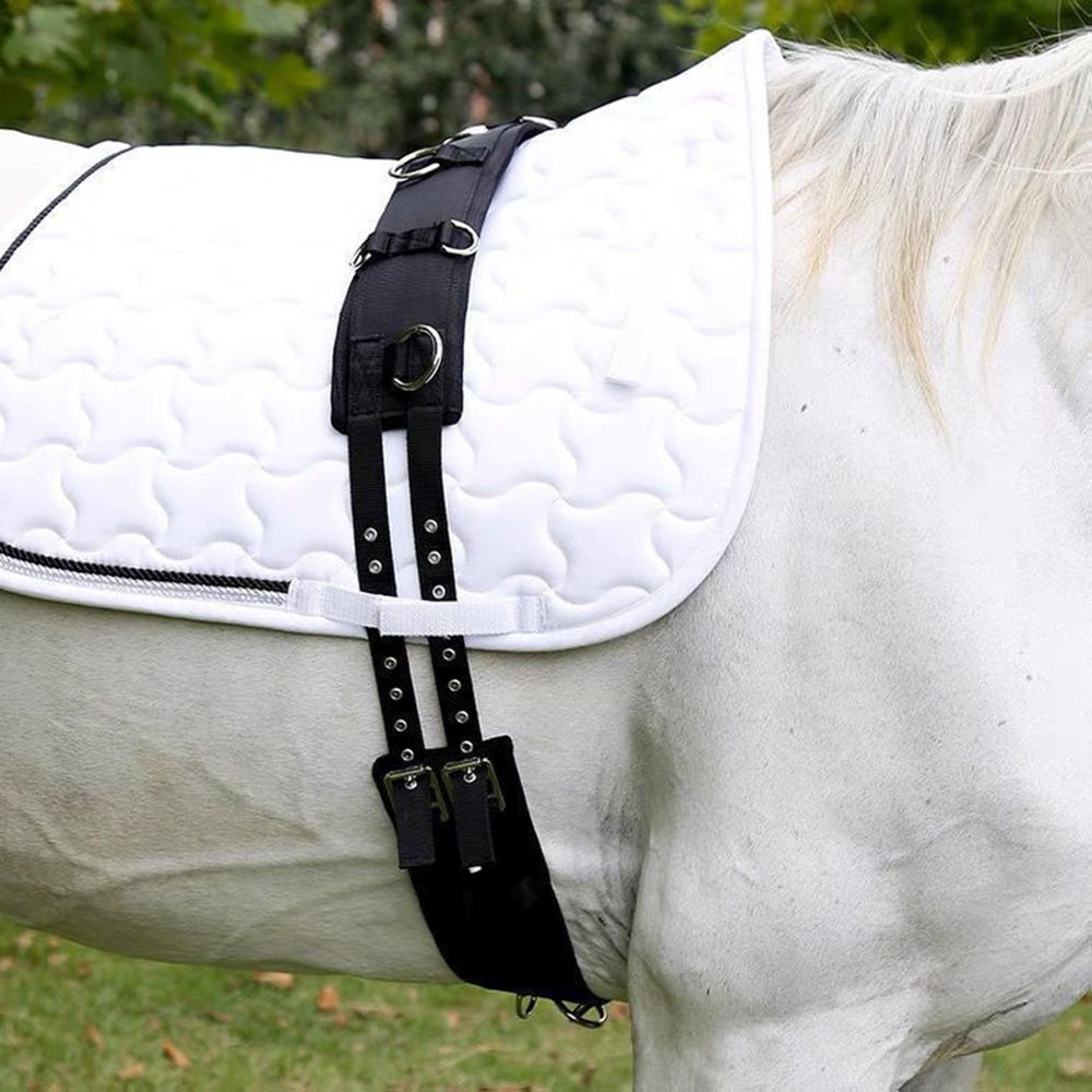 Grooming Kit Horse - New Wear Resistant Conditioning Backpack Horse
