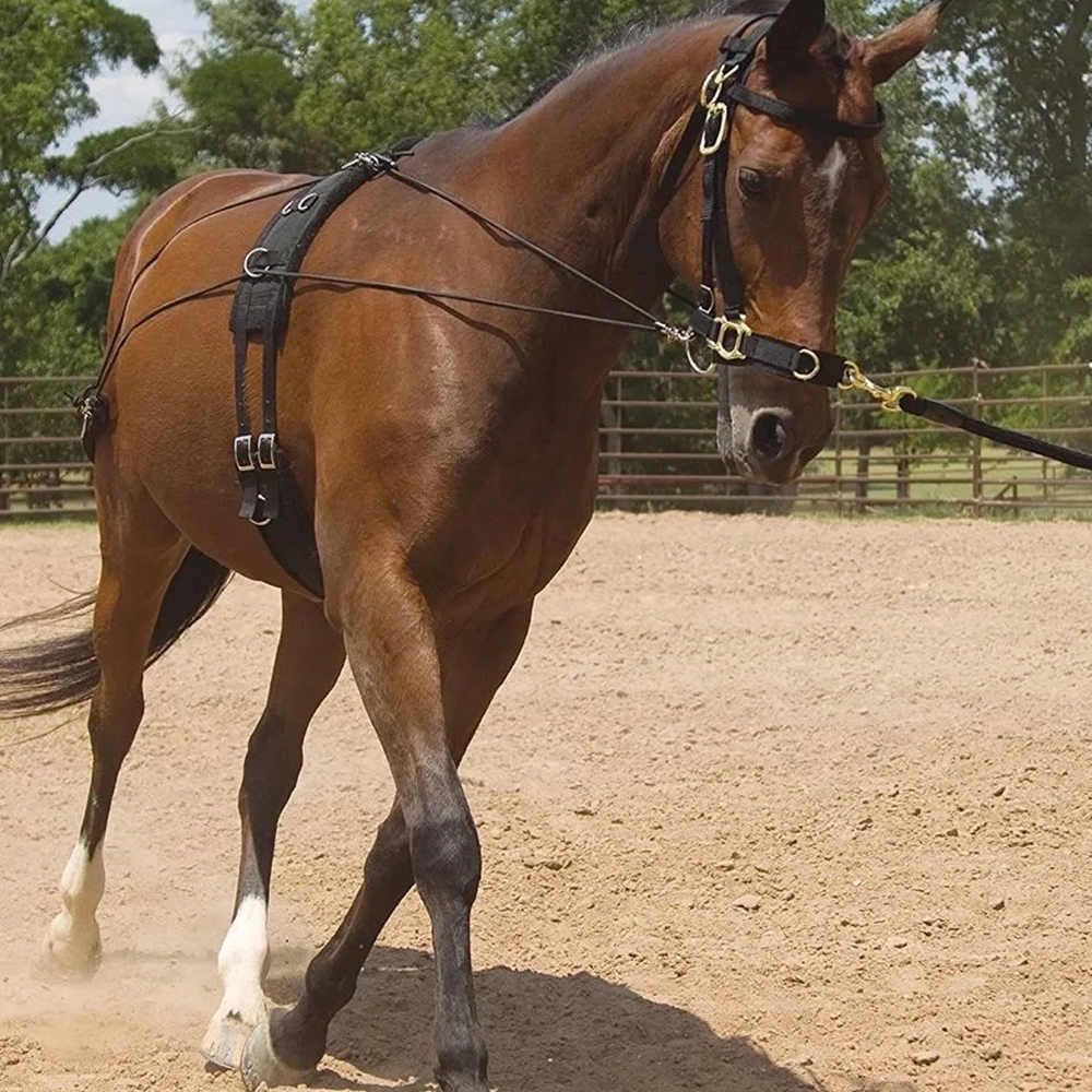 New Wear Resistant Conditionin - Grooming Kit Horse ulasan dan harga