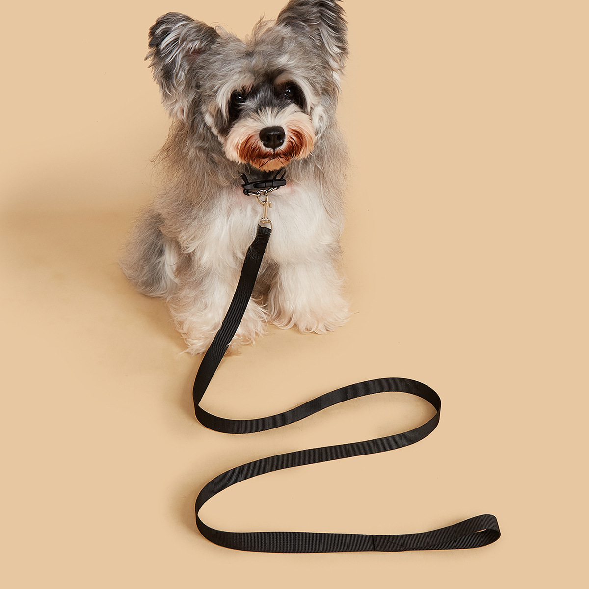 Pet Leash & Collar Set, Durabl - Headcollar Rope Set ulasan dan harga