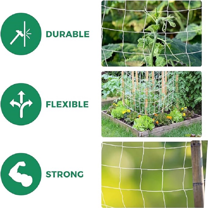 Garden Trellis Netting White A - Outdoor Sports Net ulasan dan harga