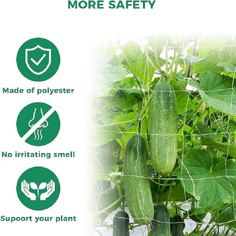 Garden Trellis Netting White A - Outdoor Sports Net ulasan dan harga