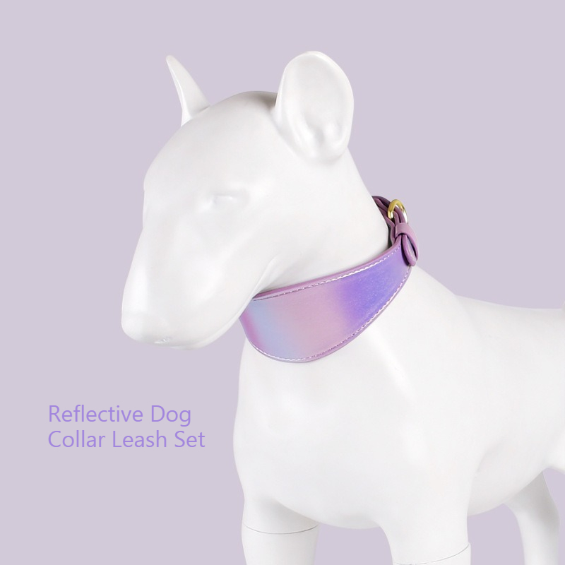 REFLECTIVE LEATHER DOG COLLAR  - Headcollar Rope Set ulasan dan harga