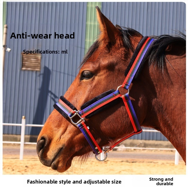 Wear‑Resistant Textile Horse H - Headcollar Rope Set ulasan dan harga
