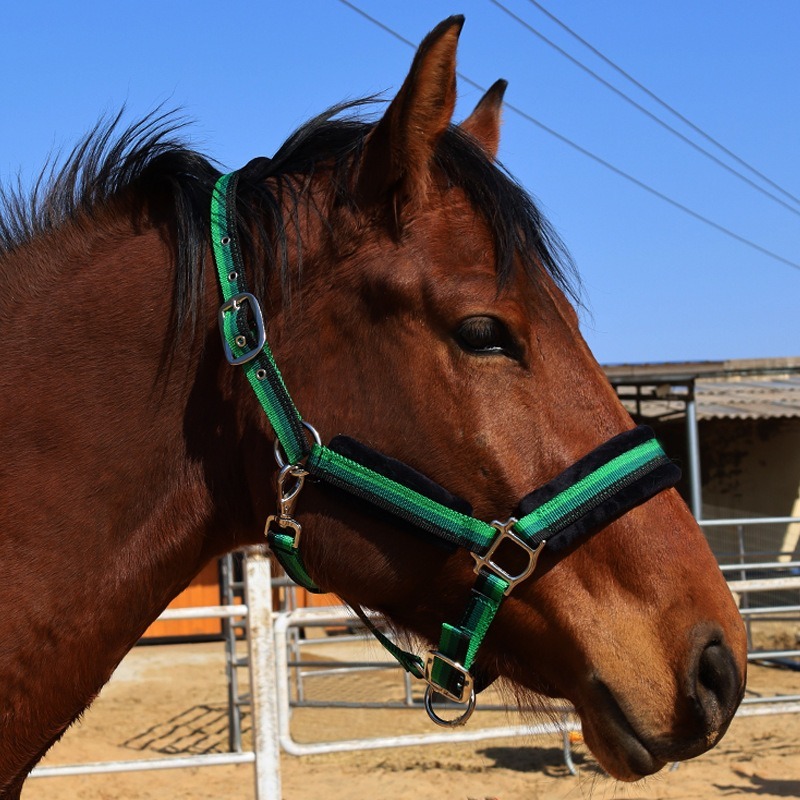 Wear‑Resistant Textile Horse H - Headcollar Rope Set ulasan dan harga